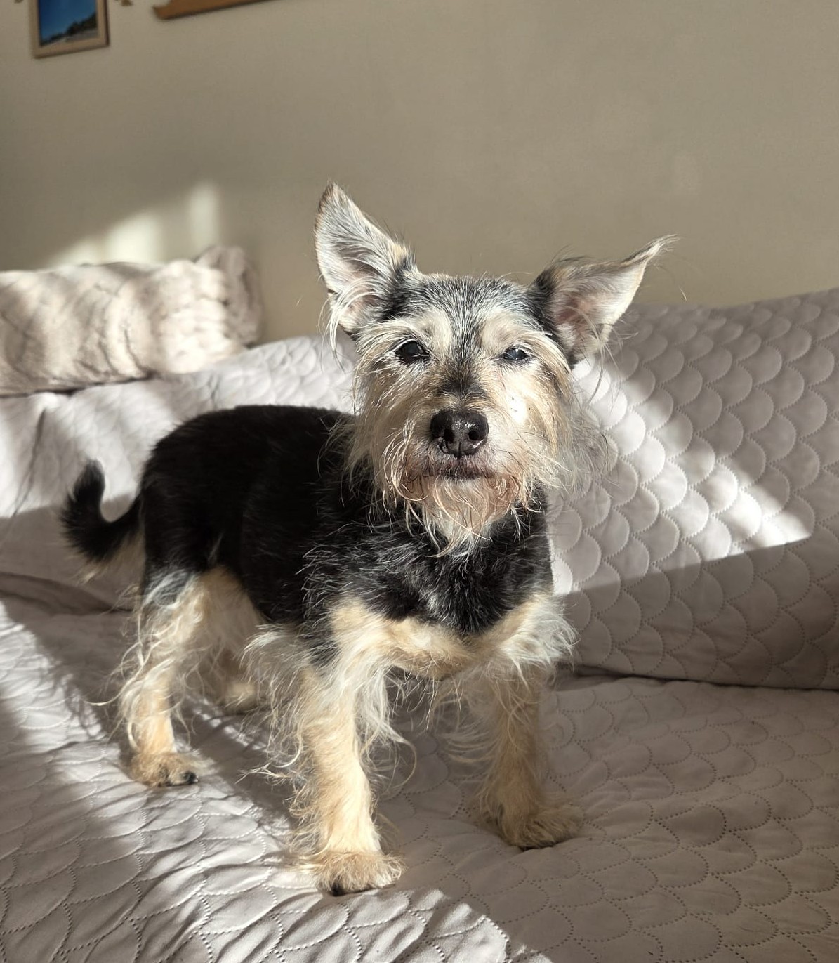 Żabka i słoneczny dzień